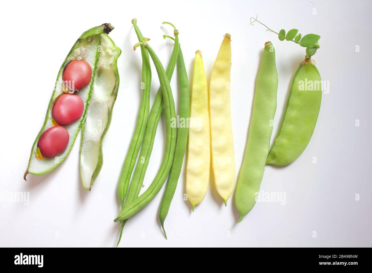 Variety of fresh organic legumes green and yellow beans, pea, broad