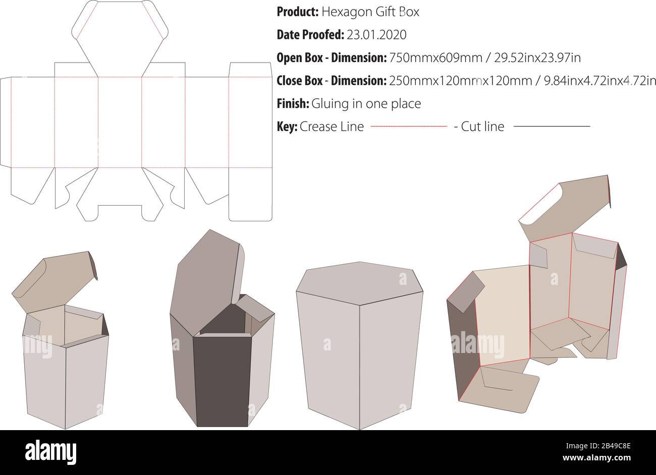 Hexagon Gift Box template die cut vector Stock Vector