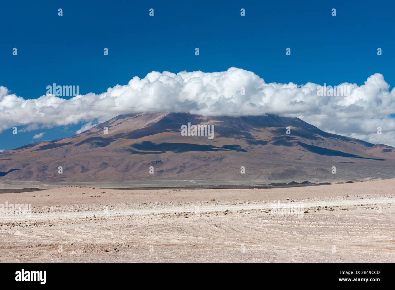 Landscape of the Andean Altiplano in Bolivia. Stock Photo