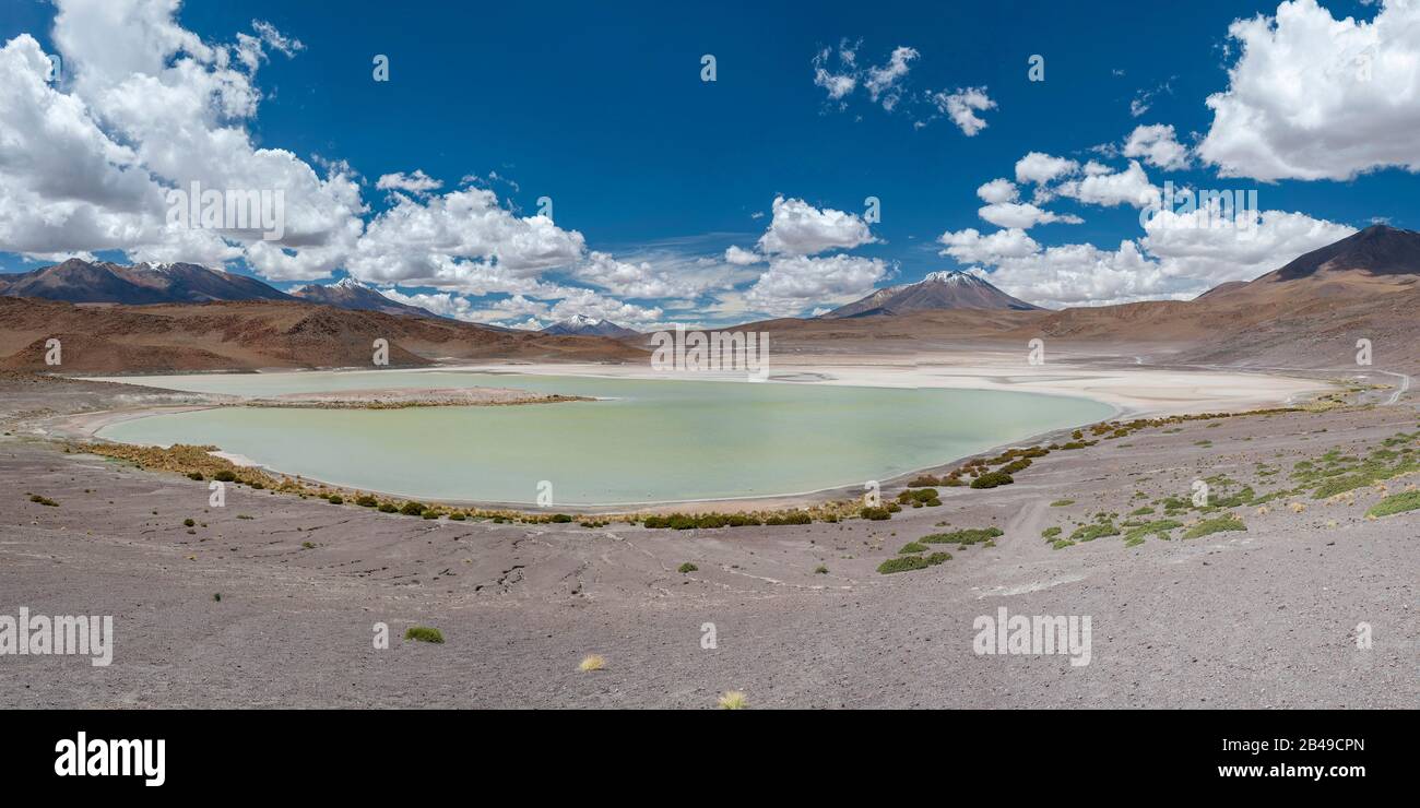 Laguna Honda in the Andean Altiplano of southern Bolivia. Stock Photo
