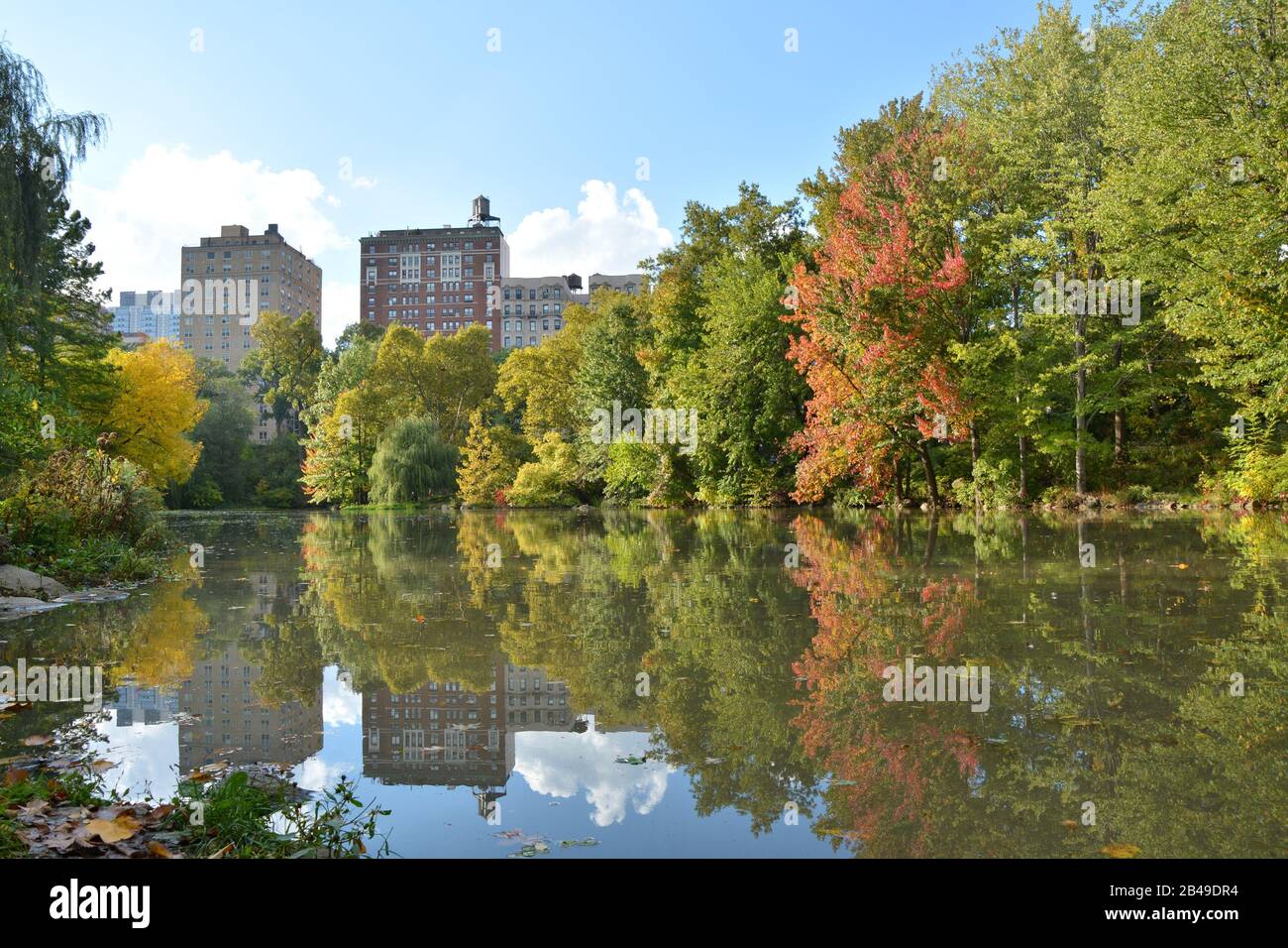 Pond in New York City Central Park Stock Photo