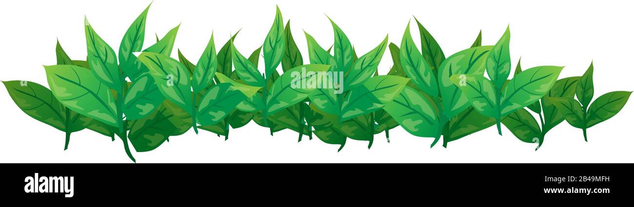 Illustration of tea leafs, with white background vector Stock Vector