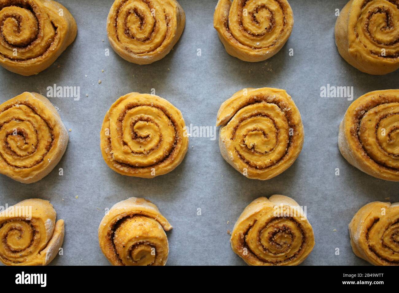 Raw cinnamon pumpkin rolls. Baking yeast dough Stock Photo