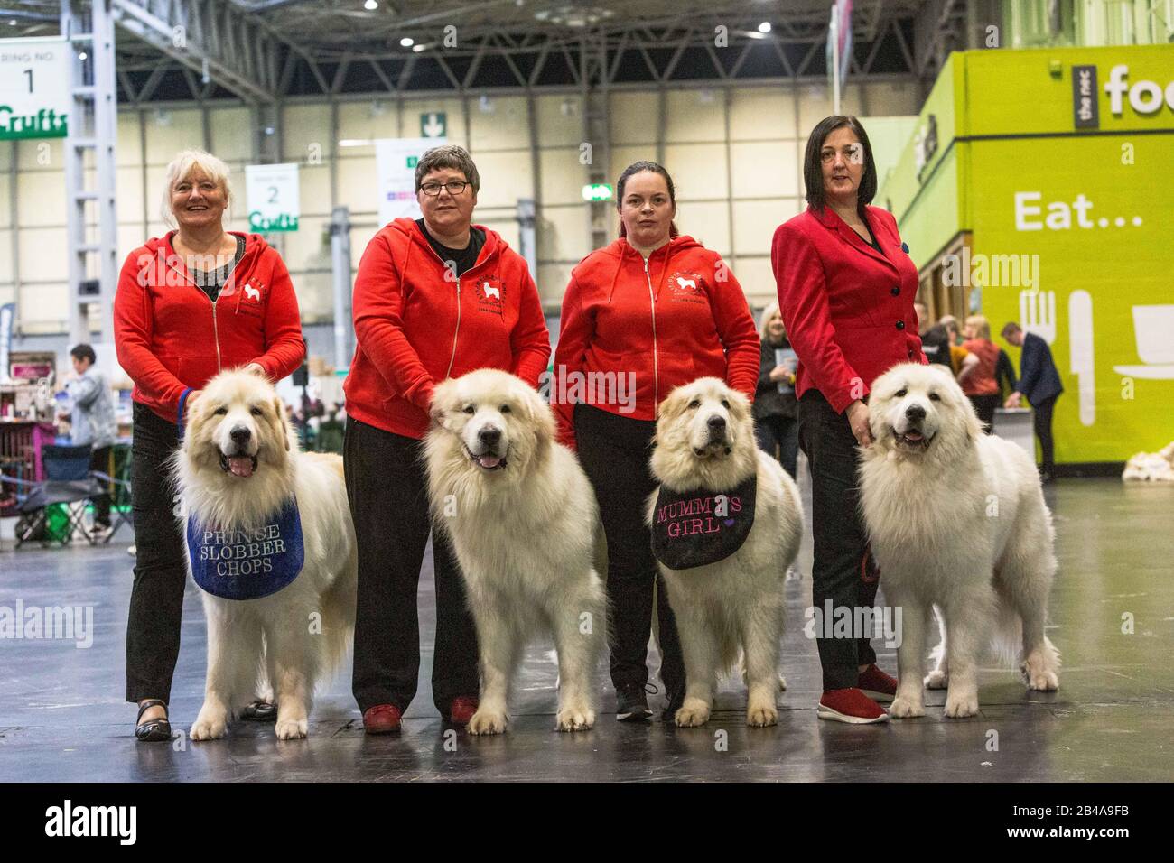 pyrenean mountain dog breeders