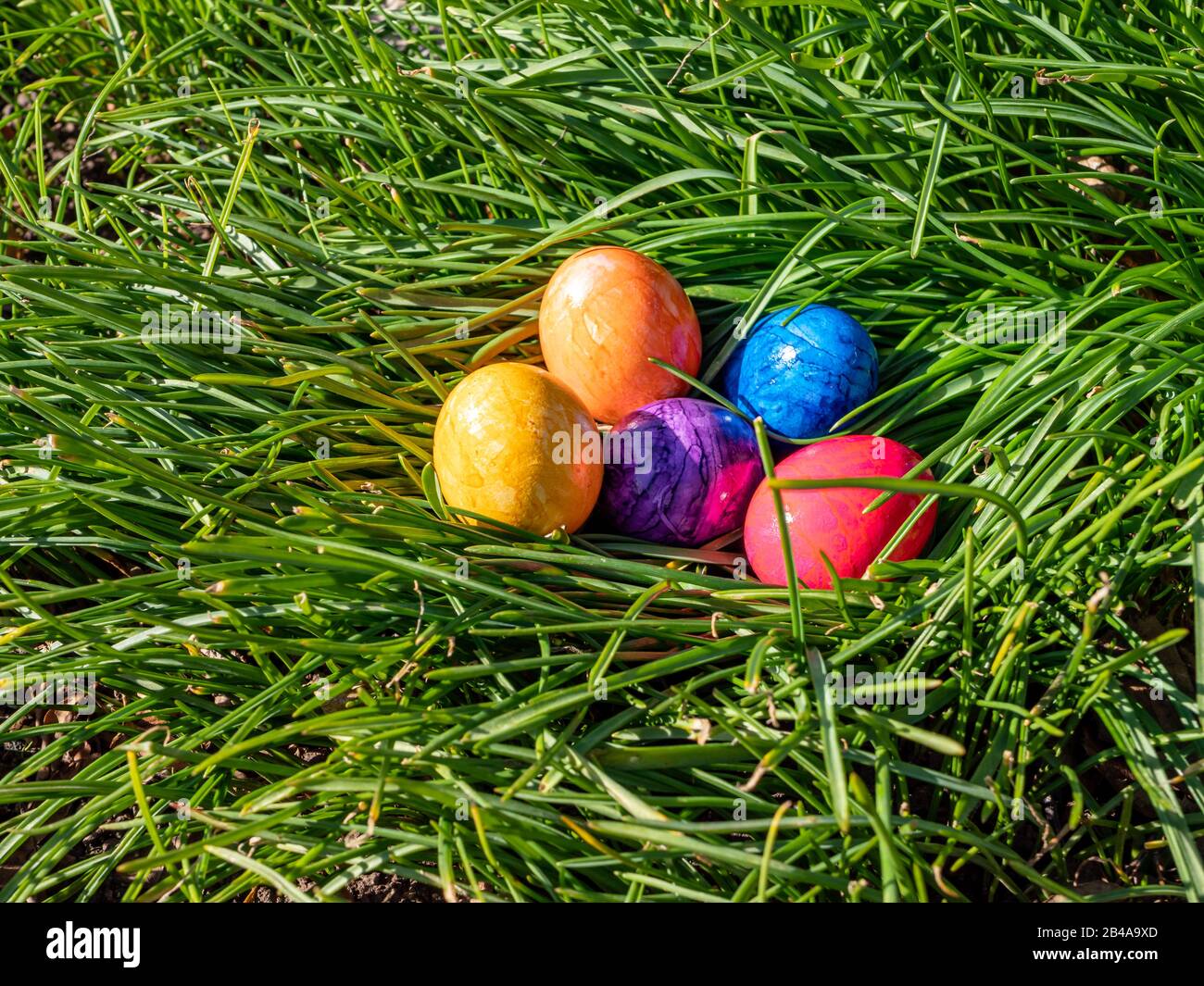 Easter eggs in the grass in spring Stock Photo