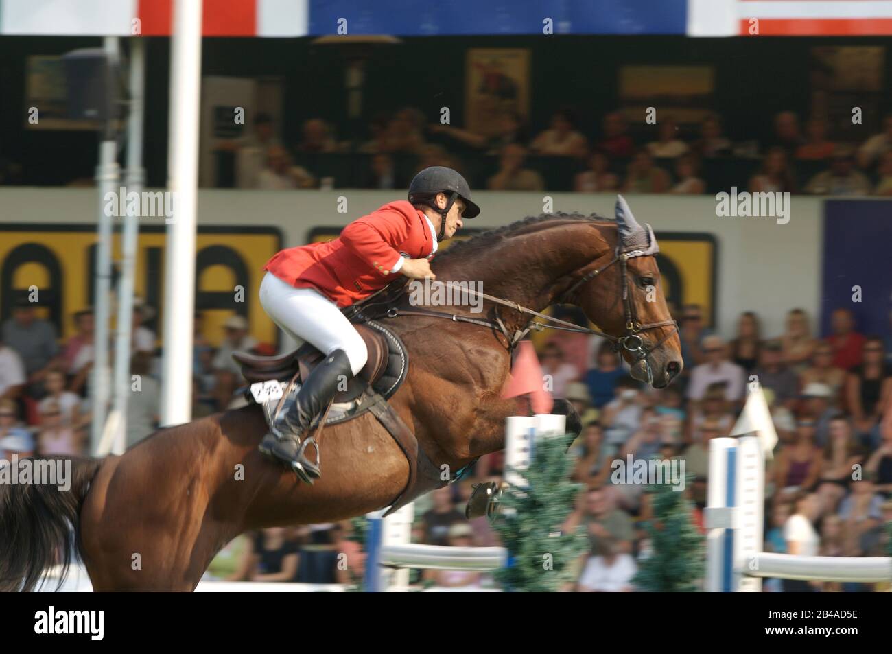 Yves Simon (BEL)  riding Mazarin des Perees, CSIO Masters, Spruce Meadows, 8 September 2006, BMO Nations Cup Stock Photo