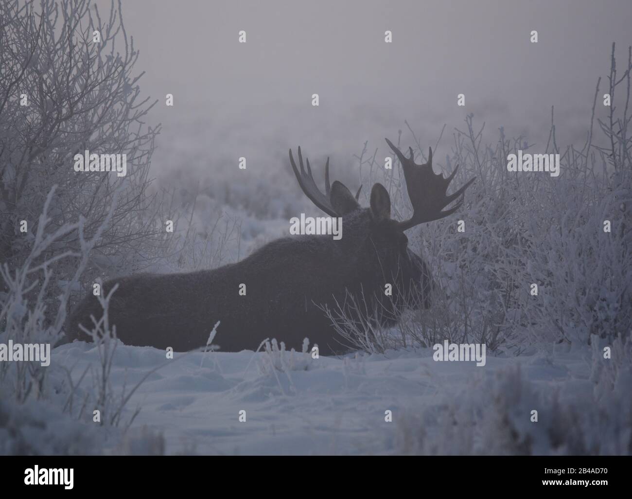 Refugee shelters hires stock photography and images Alamy