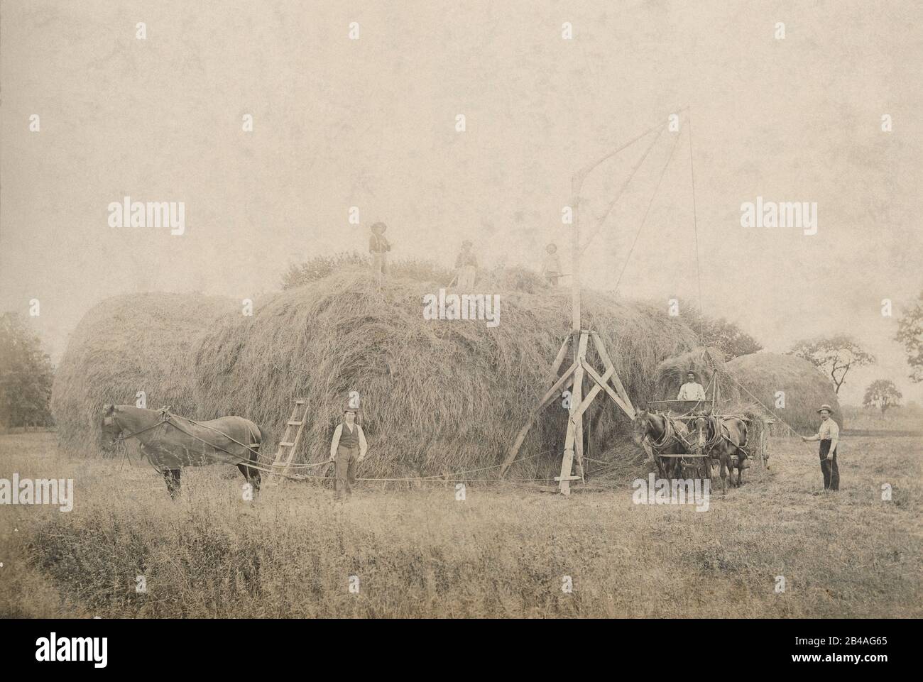 Antique 1891 photograph, “scene on farm of Mr. Vanderbilt on Staten Island, New York.” The family is likely linked to American business magnate Cornelius Vanderbilt (1794-1877). SOURCE: ORIGINAL PHOTOGRAPH Stock Photo