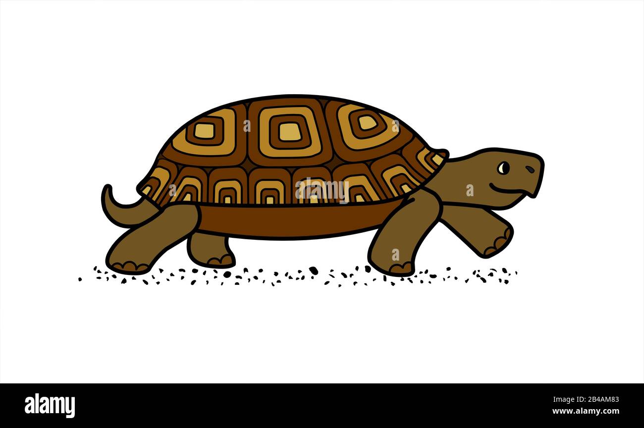 vector cute land tortoise with patterned shell, side view; isolated on a white background; symbol of slowness; walking turtle Stock Vector