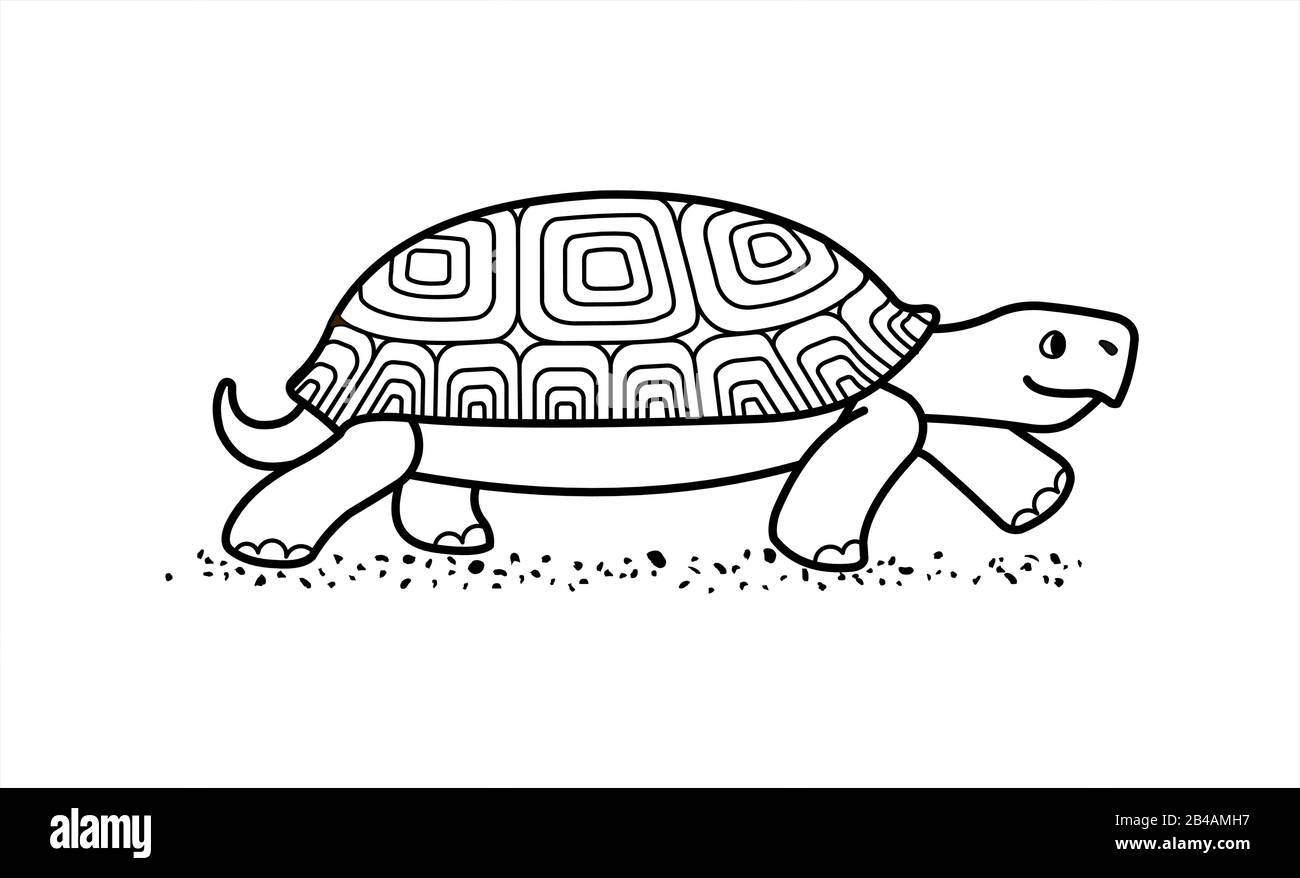 outline vector cute land tortoise with patterned shell, side view ...