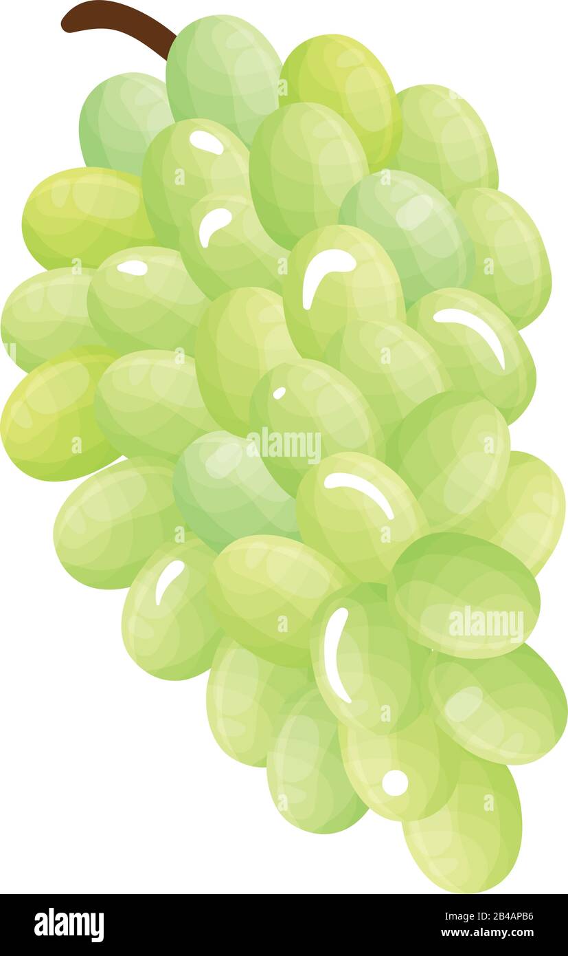 fresh grapes on white background - vector Stock Vector