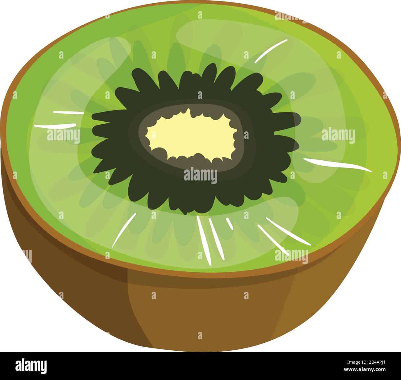 fresh slice kiwi on white background - vector Stock Vector