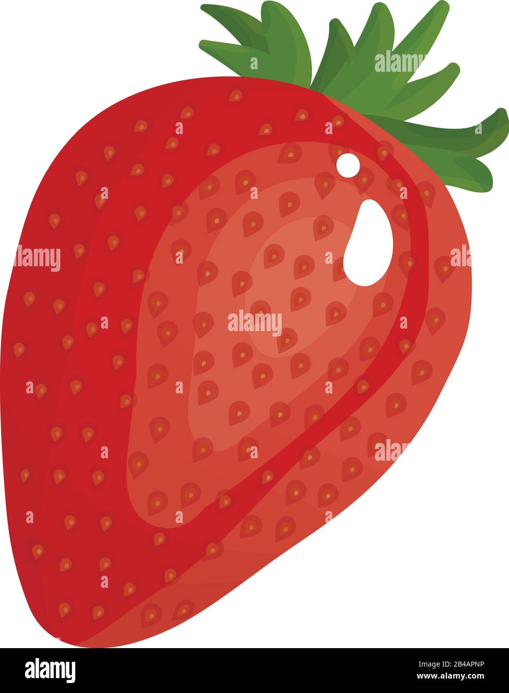 fresh strawberry on white background - vector Stock Vector