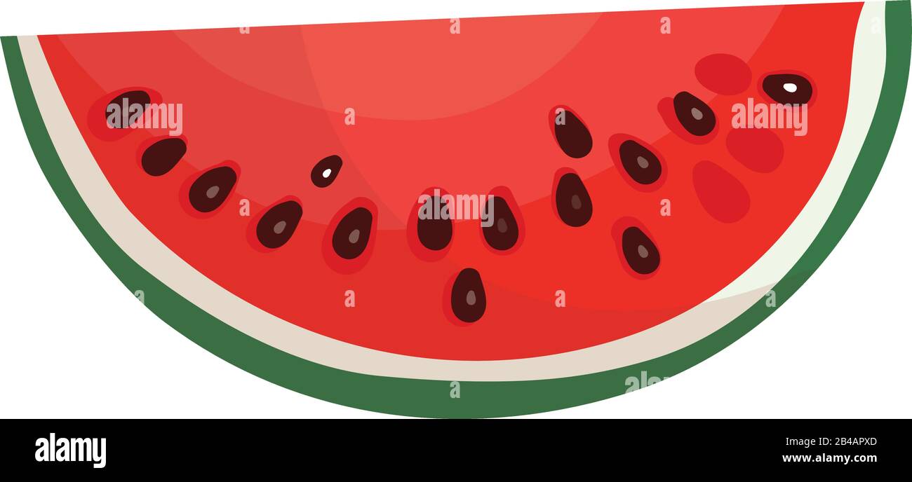 fresh slice watermelon on white background - vector Stock Vector