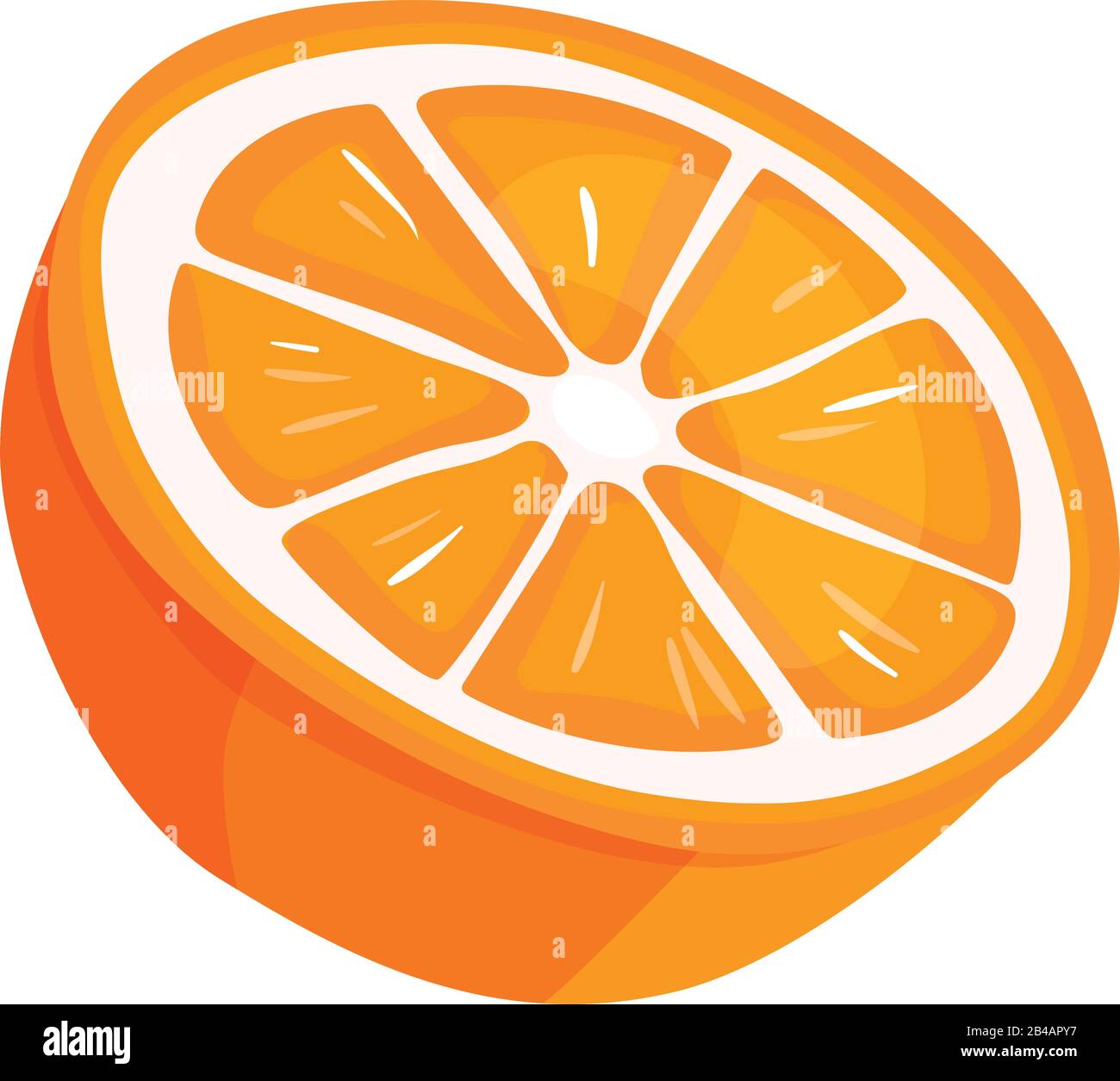 fresh slice orange on white background - vector Stock Vector Image ...