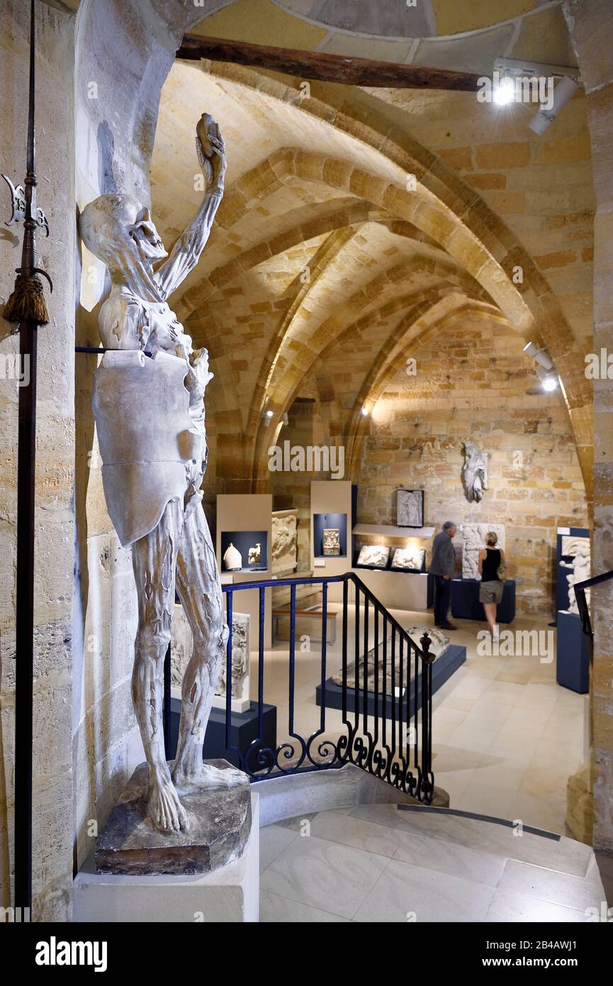 France, Meuse, Bar le Duc, Castle of the dukes of Bar sheltering the Museum barrois with a molding from the Skeleton by sculptor Ligier Richier (16th century) Stock Photo