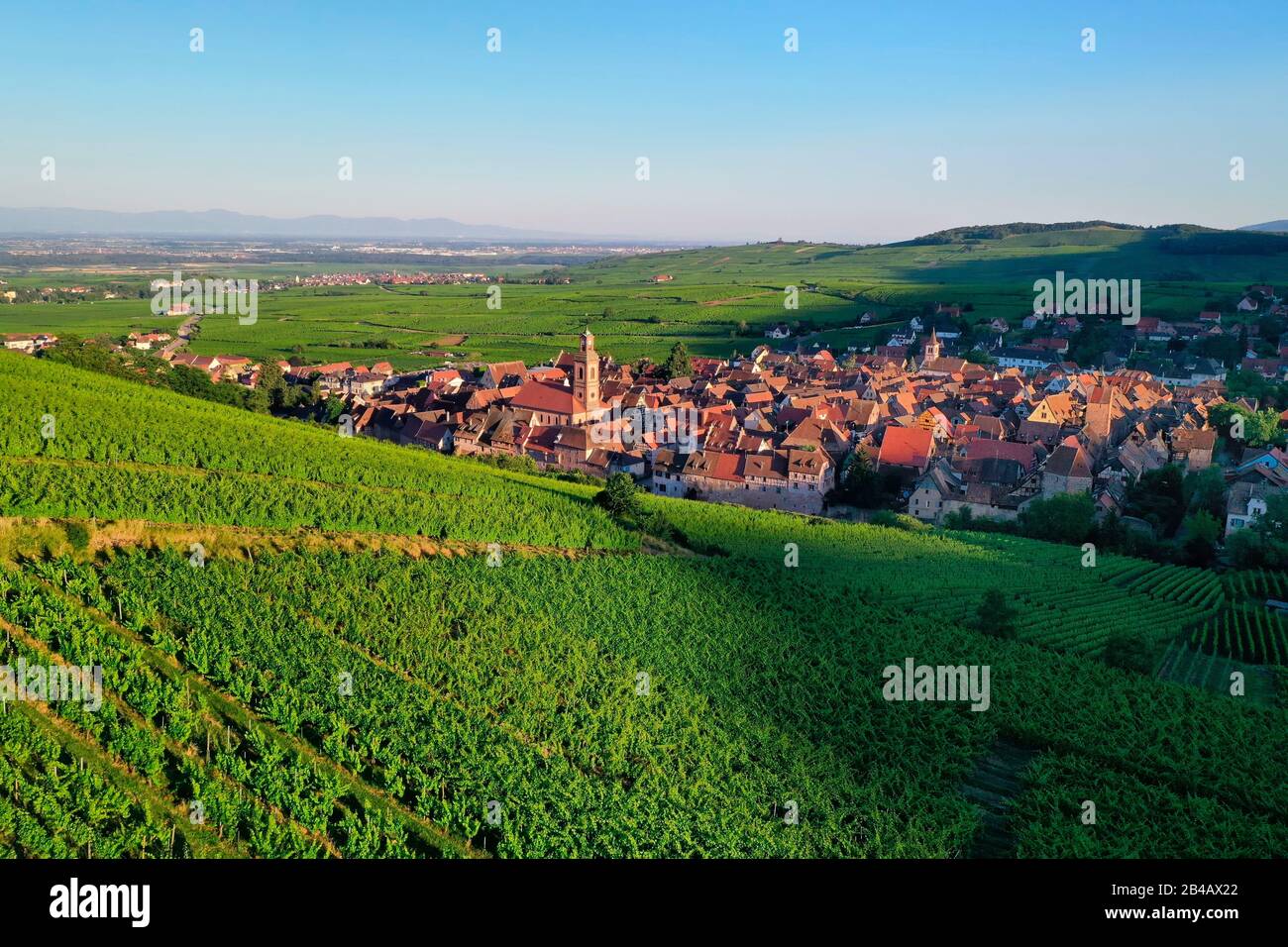 Haut Rin France, Haut Rhin, the Alsace Wine Route, Riquewihr, labelized the Most ...