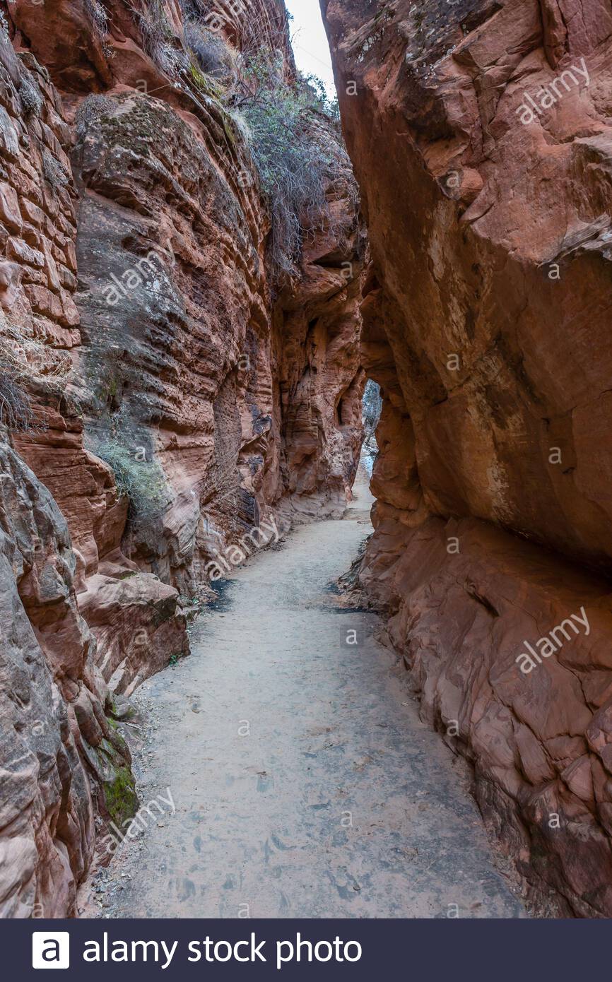 Refrigerator Canyon On West Rim Trail Zion Np Stock Photo Alamy