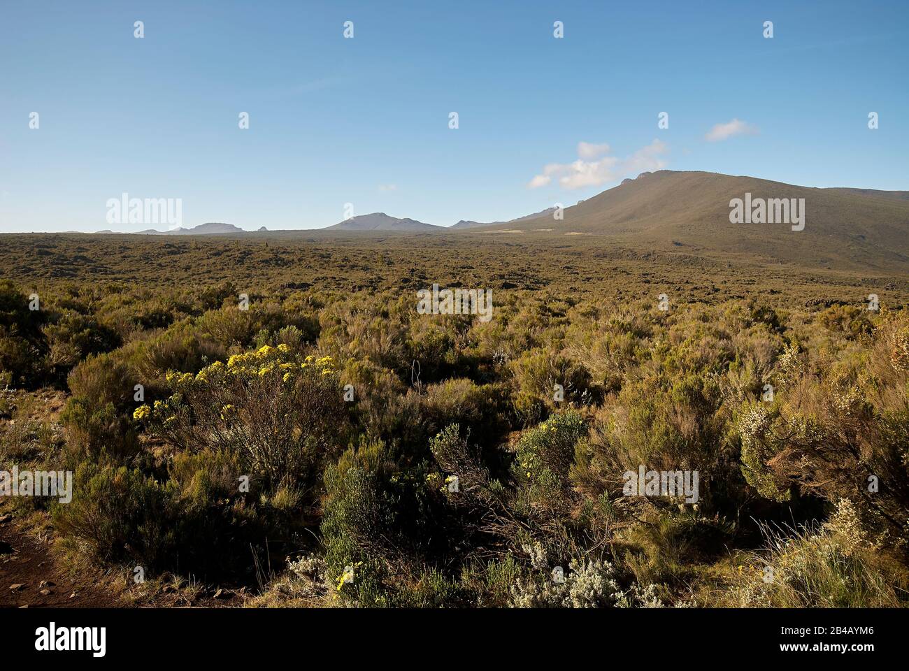 The Shira mountain ridge, one of Mt Kilimanjaro's peaks Stock Photo