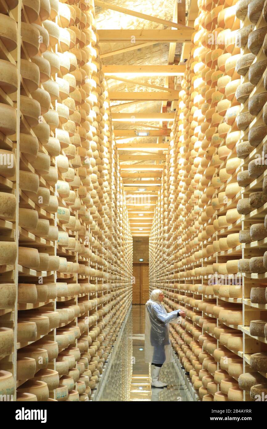 France, Jura, Les Rousses, fort des Rousses (Juraflore), ripening cellar for the counties installed in a former military fort and housing 140,000 Comte cheese Stock Photo