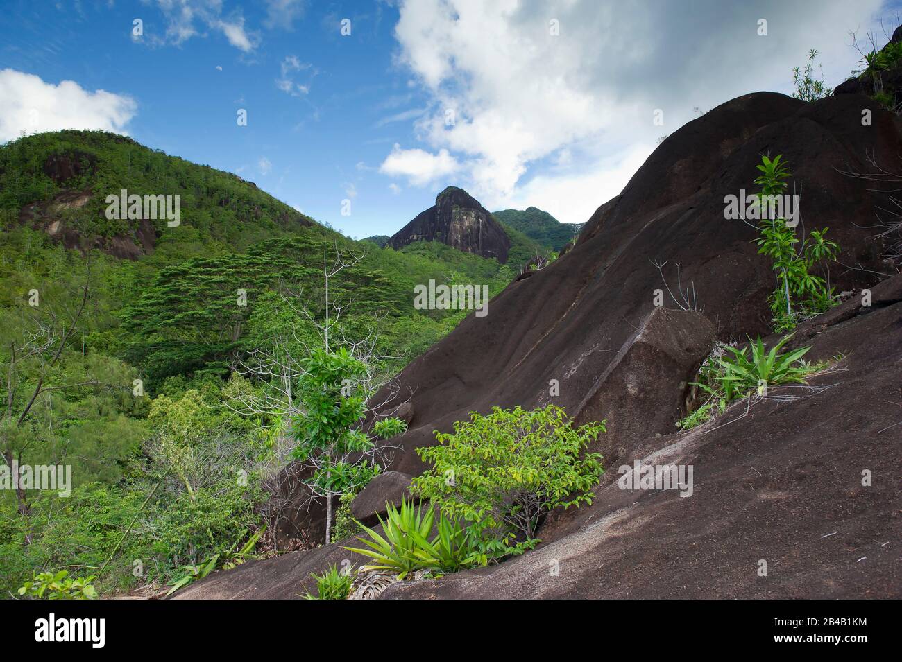 Seychelles, Mahe Island, outcrop of granite rocks in the Seychellois Morne National Park Stock Photo