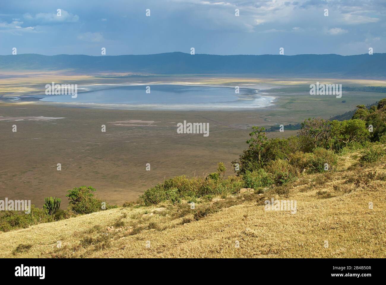 Ngorongoro crater view with Lake Magadi on the crater floor Stock Photo
