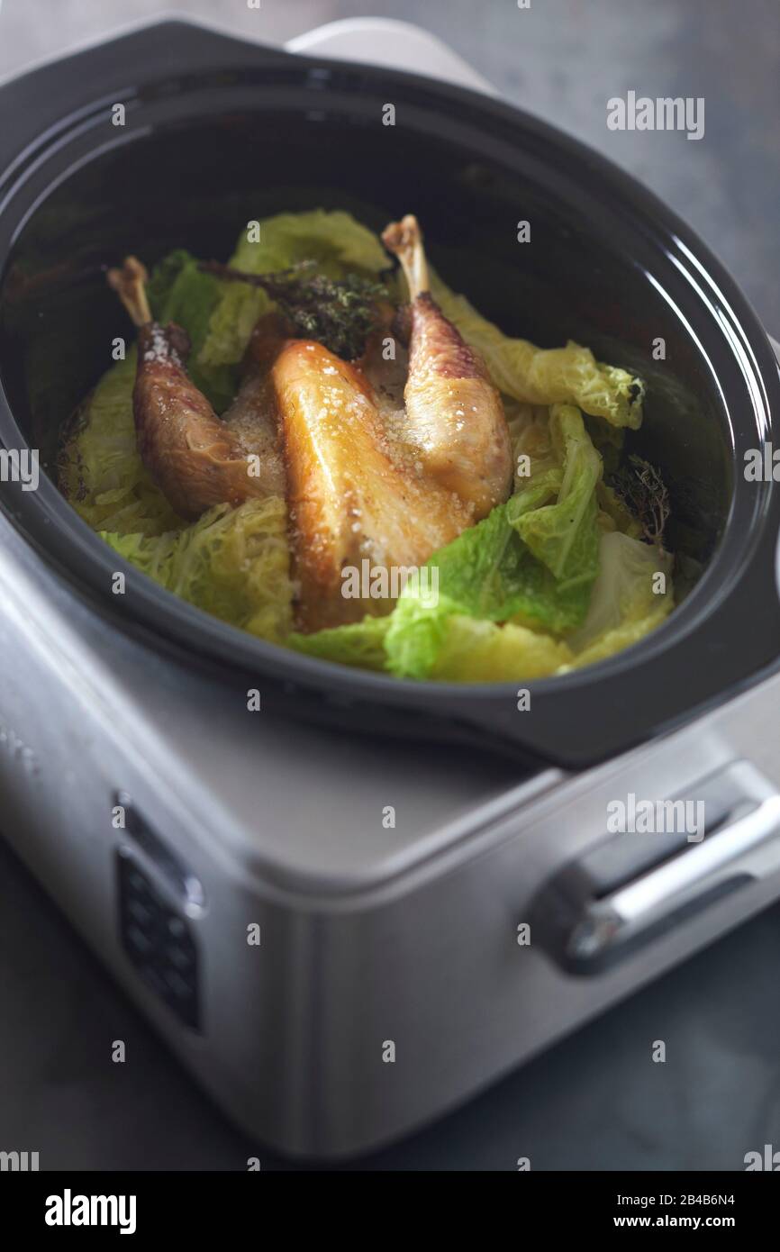 Stews, guinea fowl with cabbage Stock Photo Alamy