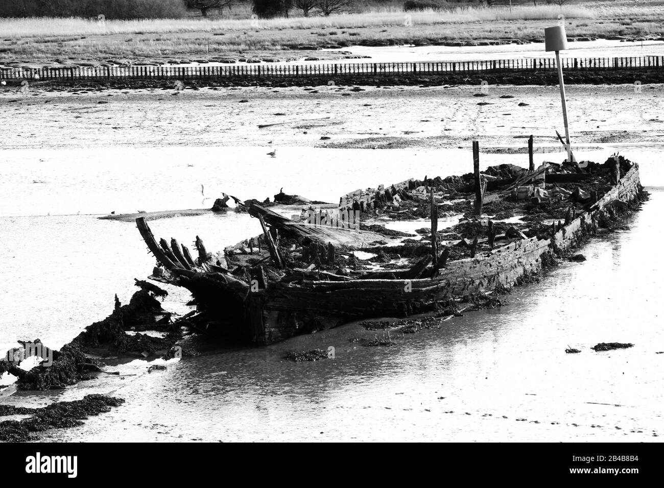 Woodbridge, Suffolk, UK - 6 March 2020: Boat wreck in the river Deben between Melton and Woodbridge. Stock Photo