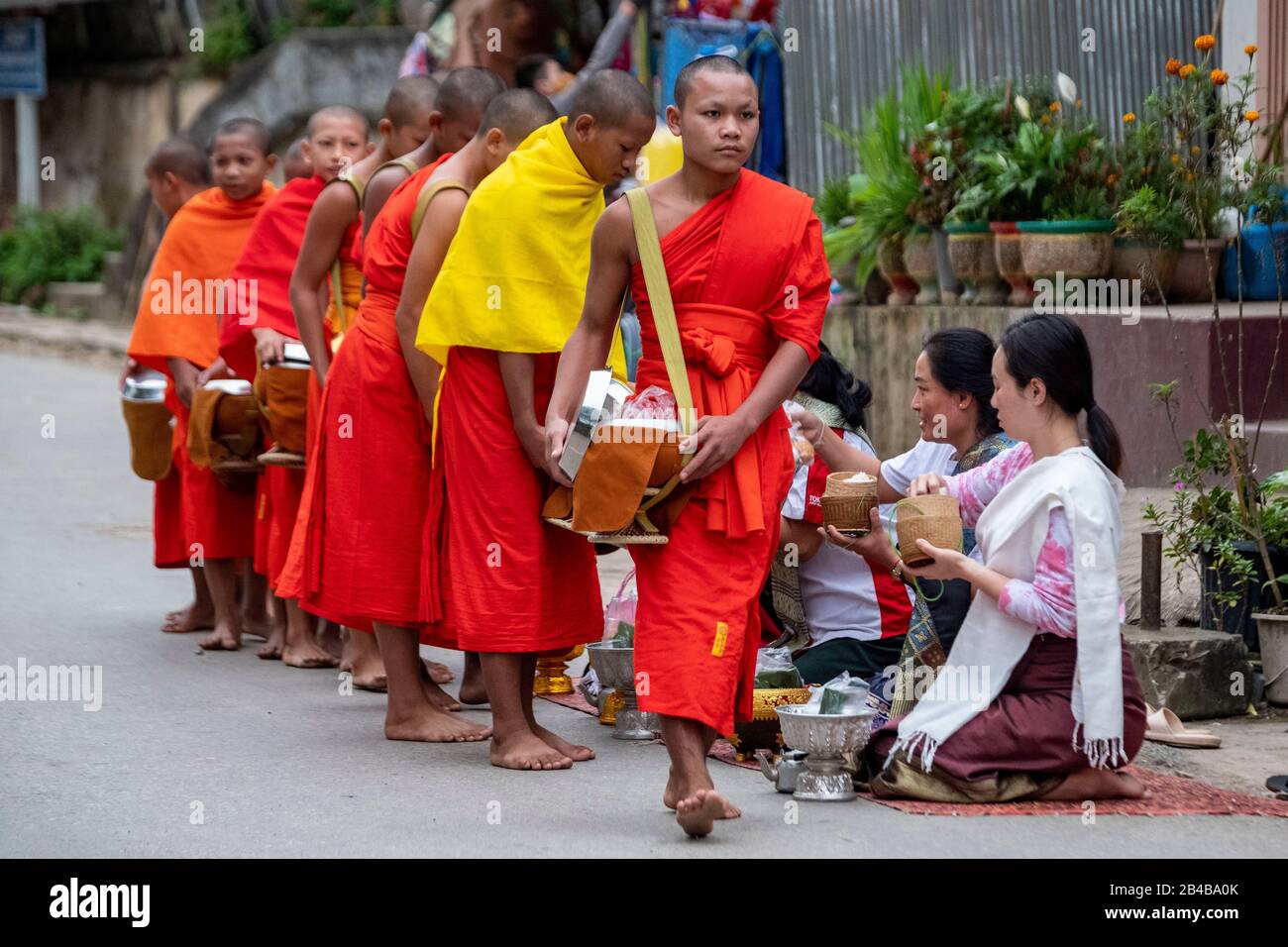 Laos, Phongsaly province, Muang Khua town, Ceremony of the offerings