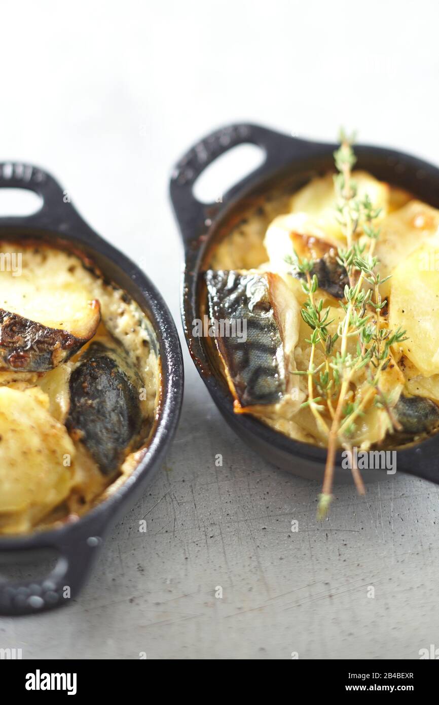 Mackerel casserole potato Stock Photo Alamy