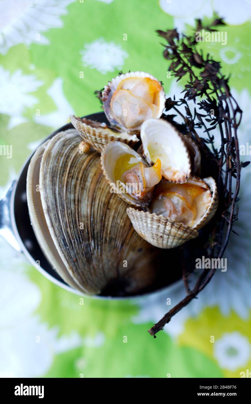 Grilled shellfish with thyme Stock Photo