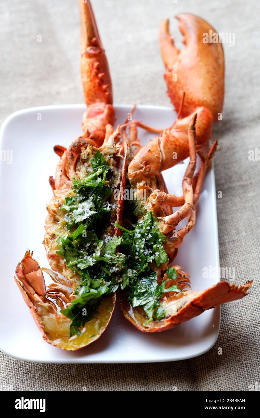 Grilled lobster, melted butter with fresh herbs Stock Photo Alamy