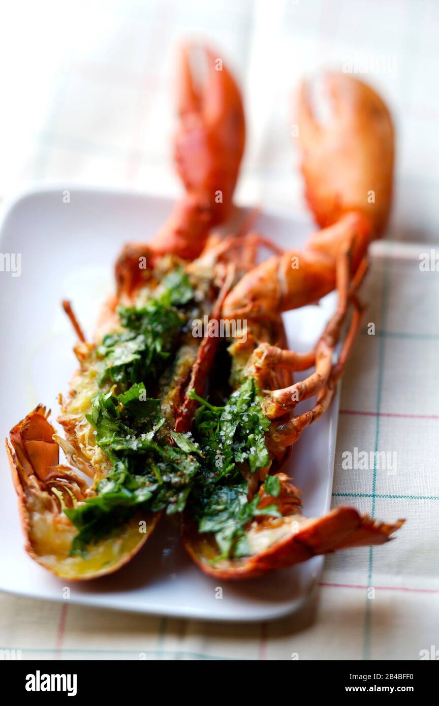 Grilled lobster, melted butter with fresh herbs Stock Photo Alamy