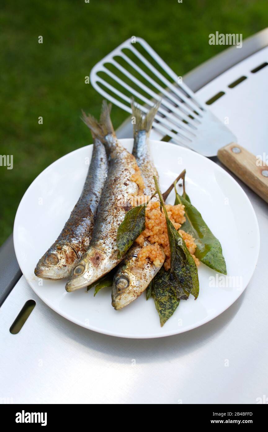 Plancha cooking, sardines with harissa Stock Photo - Alamy