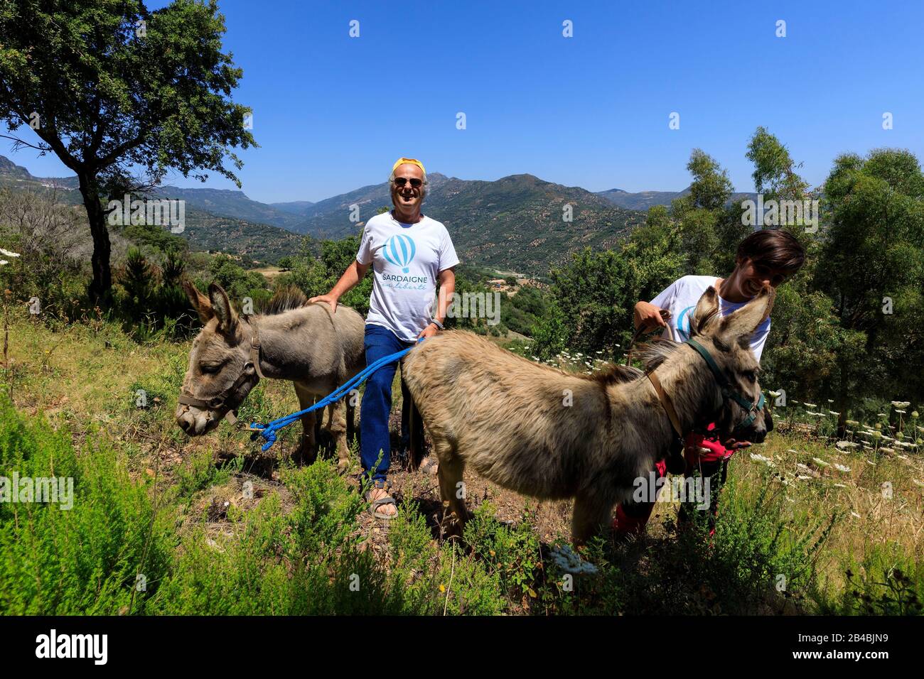 Italy, Sardinia, province of Ogliastra, Jerzu, Sardinia eco-tourism agency  at leisure, trekking with donkeys Stock Photo - Alamy
