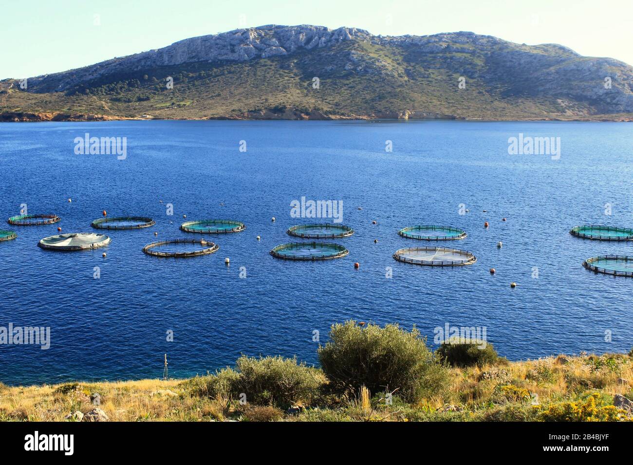Aquaculture settlement, fish farm with floating circle cages around bay