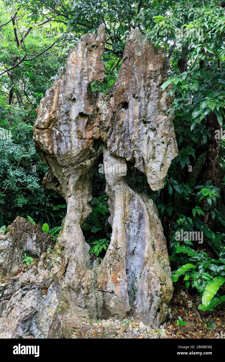 Japan Okinawa Island Ginama Yambaru National Park Daisekirinzan Rocks Stock Photo Alamy