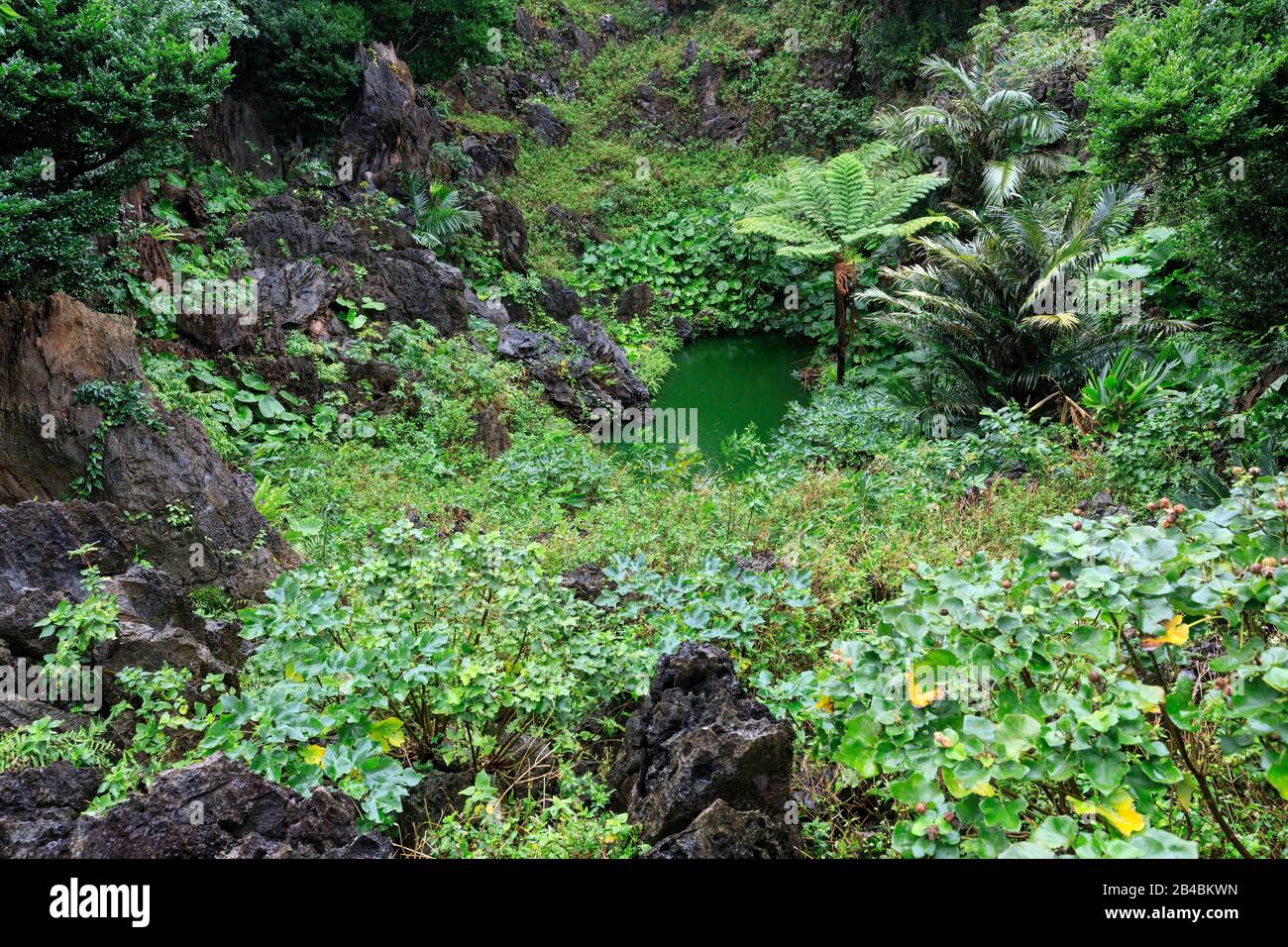 Japan Okinawa Island Ginama Yambaru National Park Daisekirinzan Stock Photo Alamy