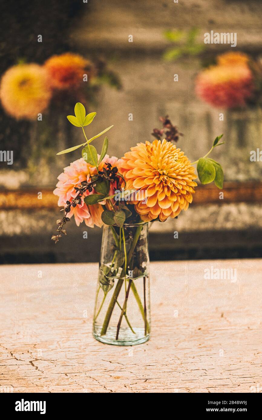 Dahlia flowers in a little glass vase reflected in antique mirrors. Stock Photo