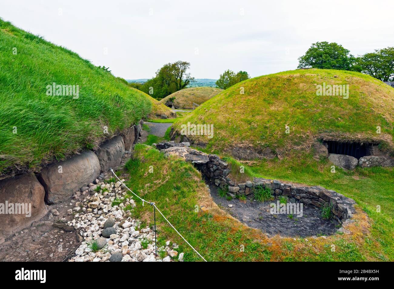 Enclosure in Newtownmoyaghy (deece Upper By., Moyglare Par.)