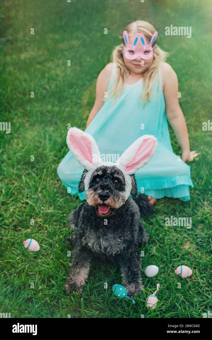 Cute Airedale Terrier dog in Easter bunny ears and little girl in bunny