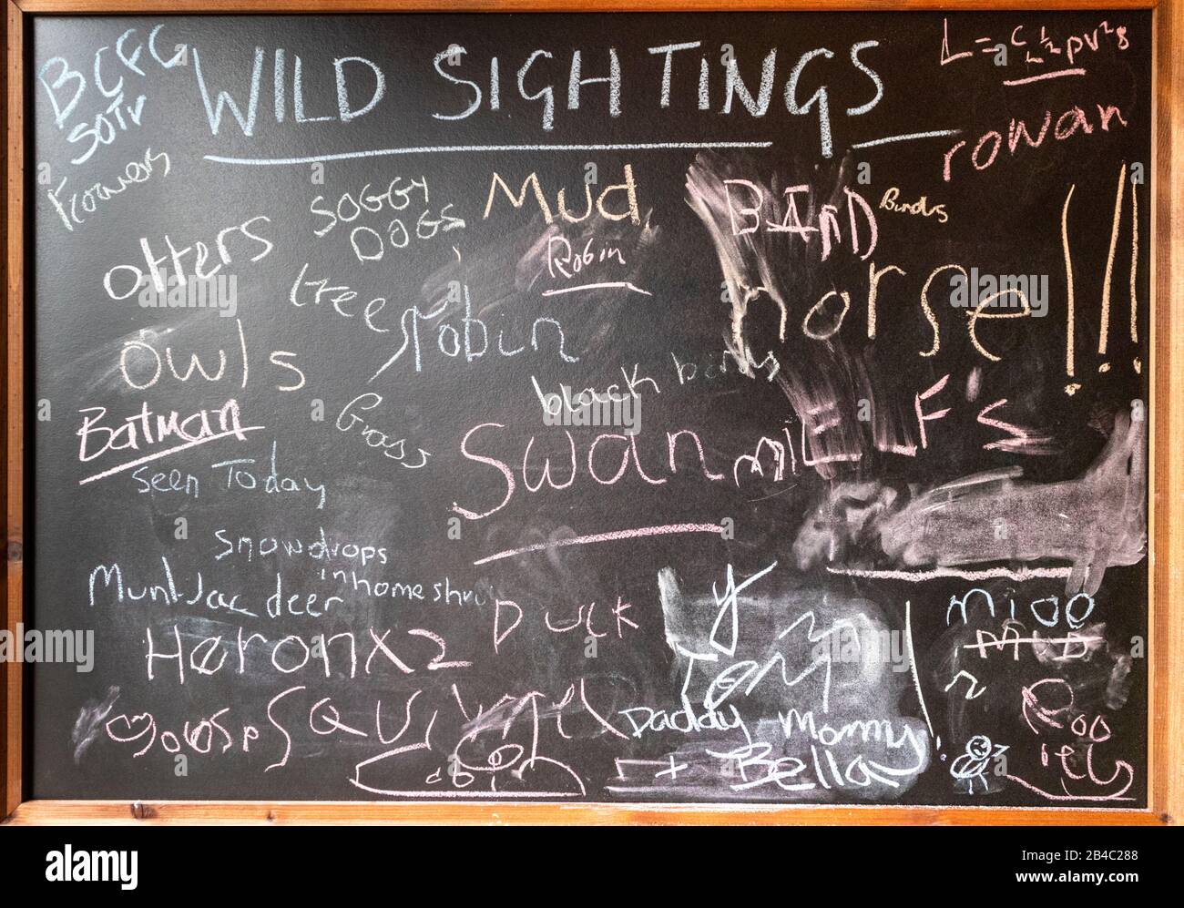 The Wild Sightings board on a wet day in January filled in by visitors to the grounds of Croome Court, Worcestershire UK Stock Photo