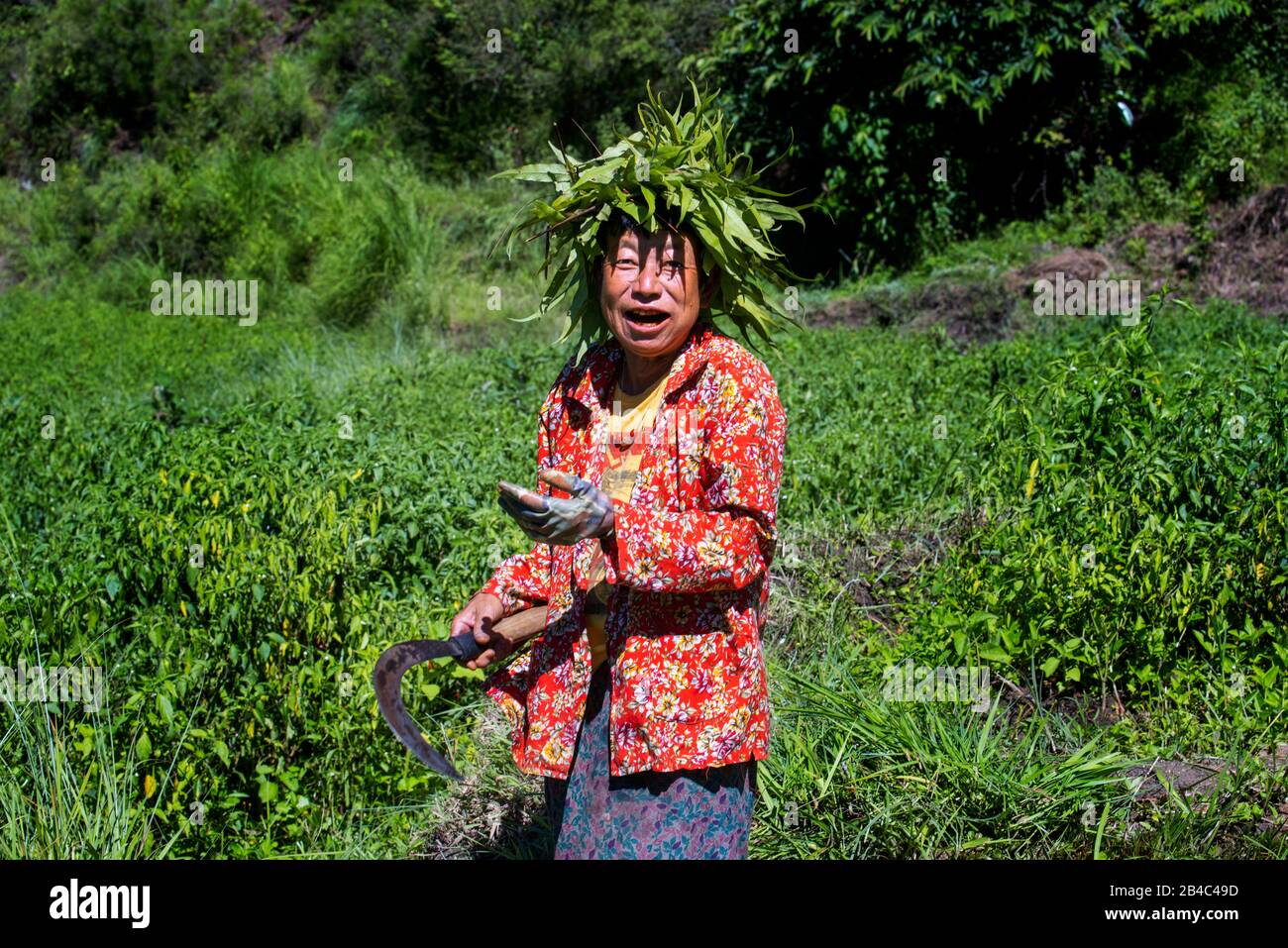 Fanny woman with a hoe and a sickle of leaves in Wangdue Phodrang Punakha valley Bhutan. Stock Photo