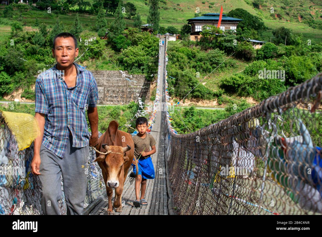 Farmer with a cow and his son crossing Punakha Suspension Bridge ar Pho Chu male river and the Mochu female river Punakha Bhutan Stock Photo