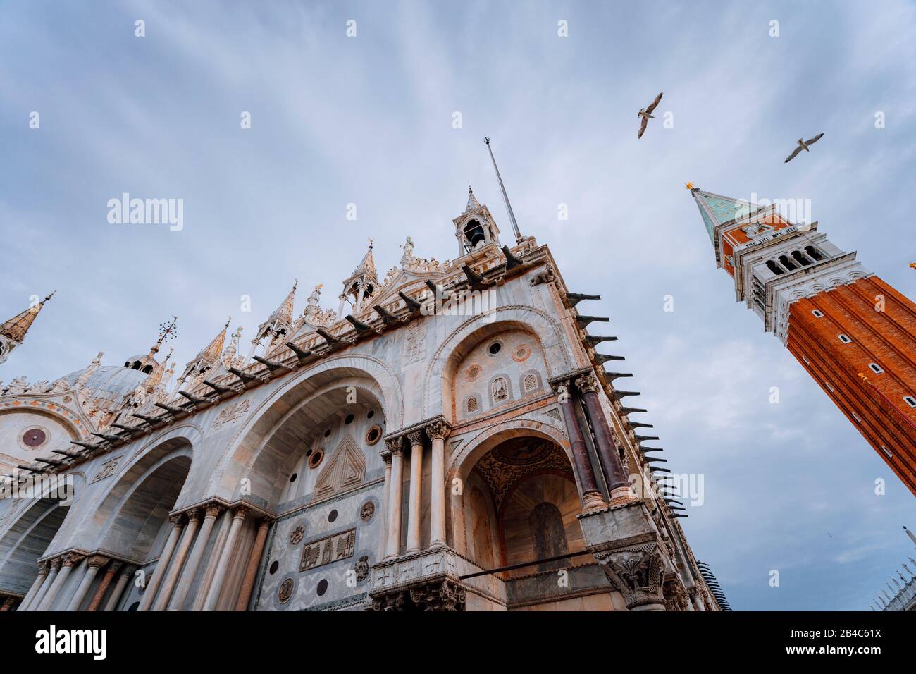 Detail of the bell tower Campanile di San Marco and the cathedral Cattedrale of St. Mark in Venice and flying seagulls. Venice, Italy. Stock Photo