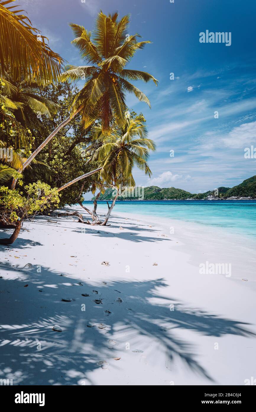 Vacation in faraway place. Paradise tropical beach with white sand and palm trees. Long distance travel tourism getaway concept. Stock Photo