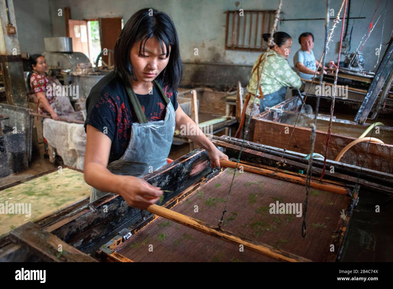 Jungshi Paper Factory, Thimphu, Bhutan. A woman compresses handmade paper during the paper production process. The paper is purely handmade. The Jungs Stock Photo