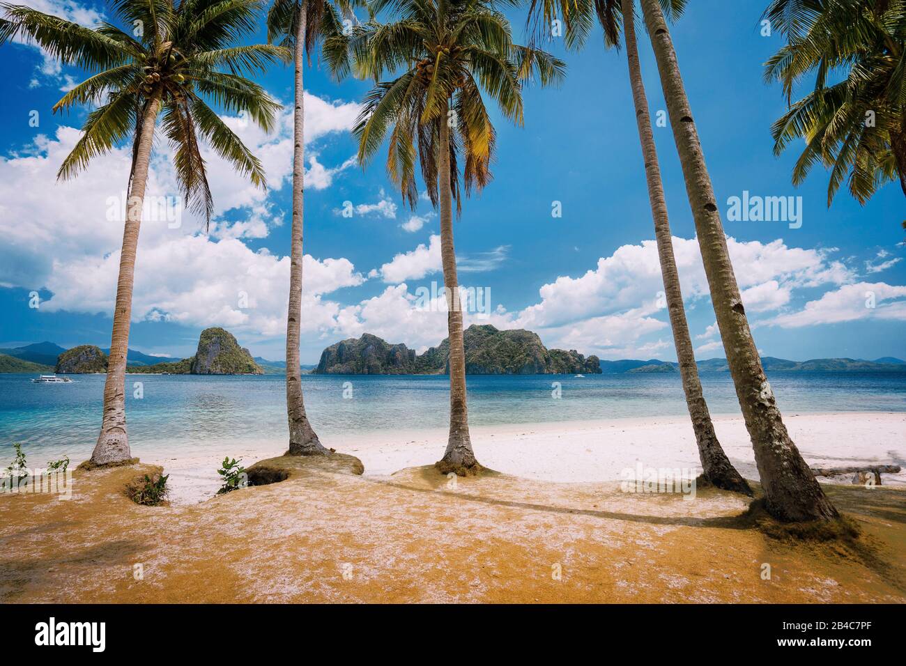 El Nido Beach Paradise: Pinagbuyutan Island with palm trees. Palawan, Philippines. Stock Photo