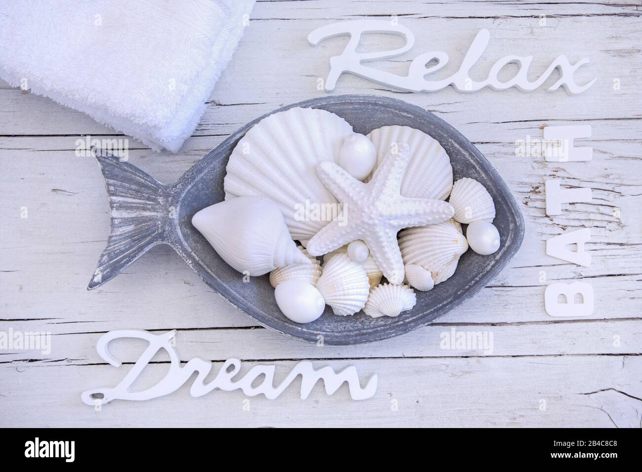 fish plate with decorative shells and starfish maritime still life