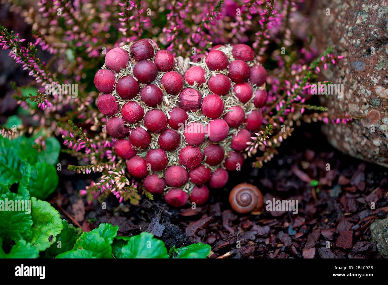 Autumn heart made of red berries still life with heather flowers Stock Photo